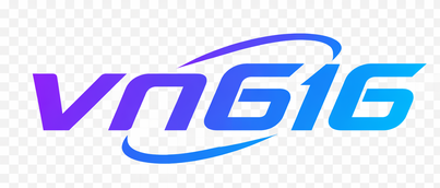 VN616 Logo
